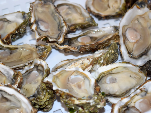 ostriche di pesce ristorante di pesce pescara 2