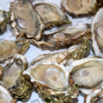 ostriche ristorante di pesce pescara materia prima