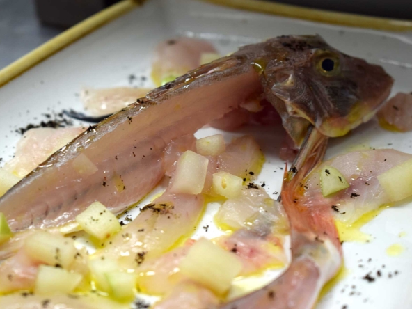 crudo gallinella ristorante di pesce pescara